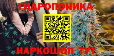 ПСИЛОЦИБИНОВЫЕ ГРИБЫ Рязань