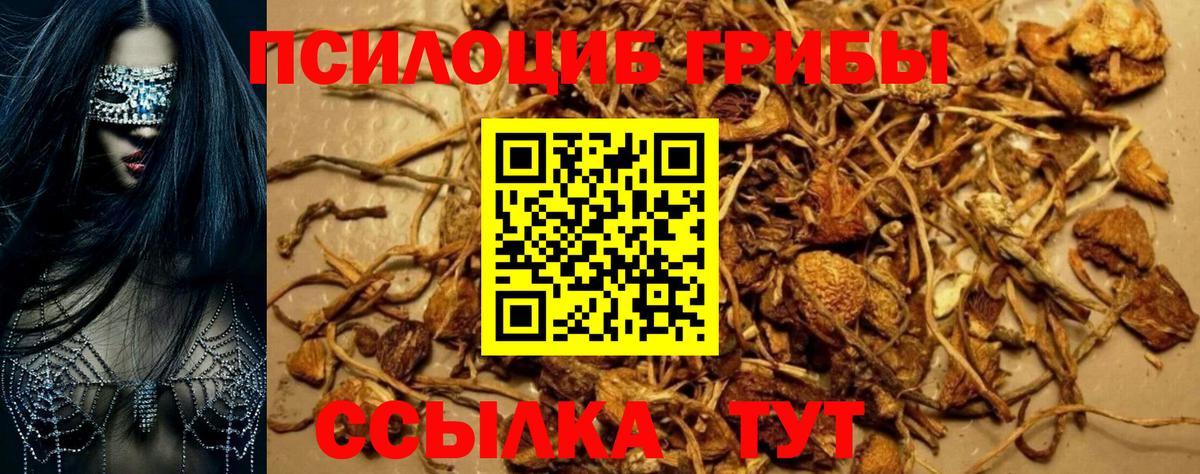 Галлюциногенные грибы ЛСД  Псилоцибиновые грибы Magic Shrooms  Приморско-Ахтарск  Вход с VPN 