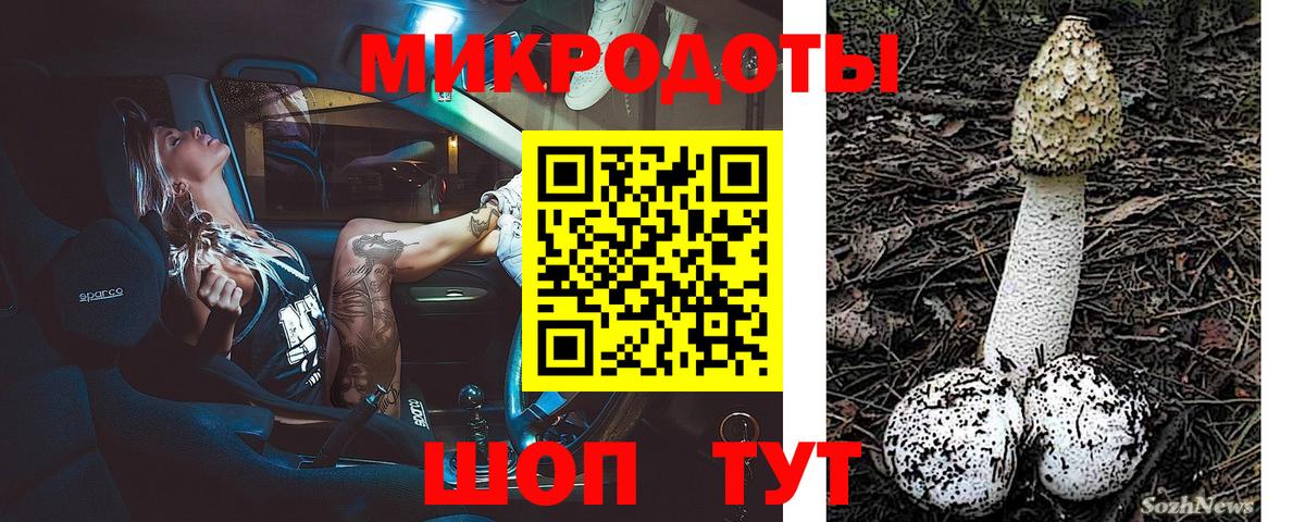 Галлюциногенные грибы Psilocybine cubensis Приморско-Ахтарск